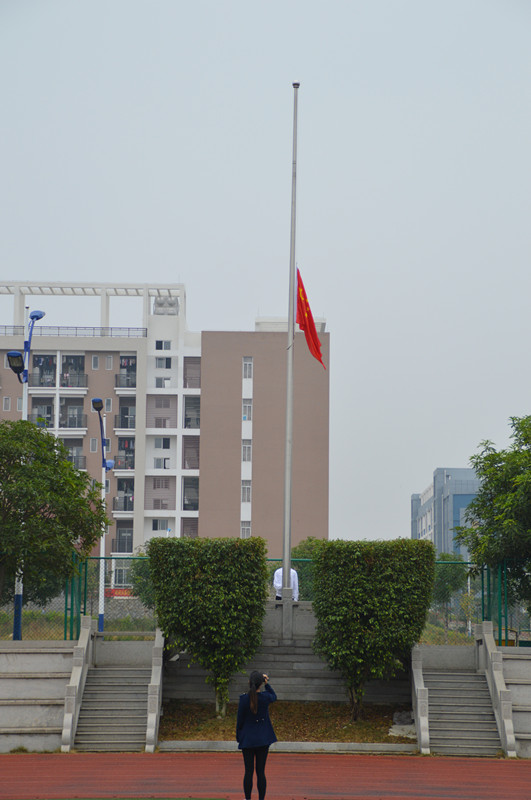 DSC_1441_副本.jpg